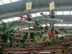 -南宫五洲植物乐园