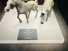 -邯郸市博物馆(新馆)