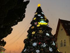 -青岛第三海水浴场