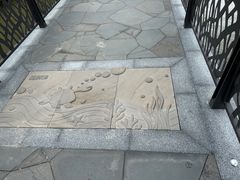 -东寨港红树林旅游区