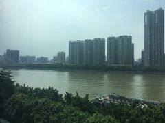 -半岛太子酒家(海港城店)