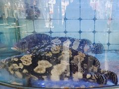 -日照大牌檔•小船海鲜(万平口店)