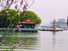 -无锡蠡湖国家湿地公园-蠡园