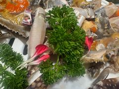 -渔娘渔家丹东海鲜(东直门店)