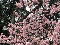 -南山植物园