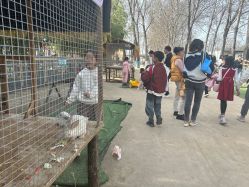 -上美四季动物农场