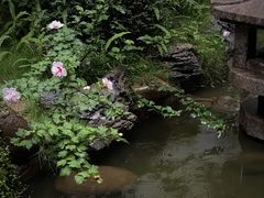 -绣园·茶食宴(湘绣博物馆店)