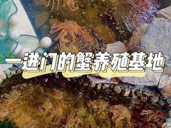 -綱元·海鲜豆捞(明州里店)