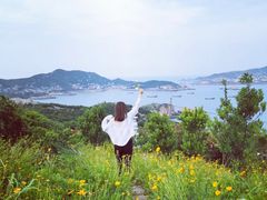 -枸杞岛