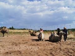 -鄂尔多斯野生动物园