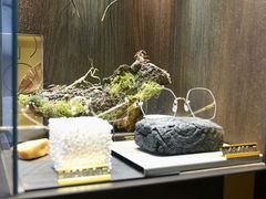 -大视光学•LINDBERG林德伯格•全球手工眼镜集合店(王府井店)