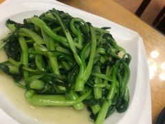 清炒广东菜心-建坤水席宫·洛阳菜(中州路店)