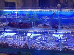 -福州西湖大酒店·怡湖咖啡厅