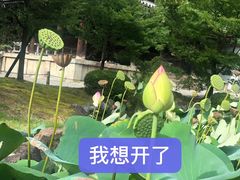 -嘉定紫藤园