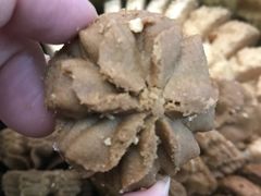 -珍妮曲奇聪明小熊(上环店)