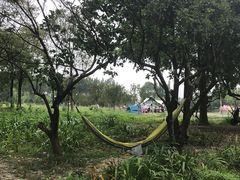 -两河城市森林公园