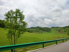 -关山草原