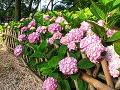 -共青国家森林公园-售票处