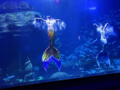 -多彩贵州城极地海洋世界