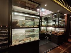 -甄御•海鲜新青岛菜(麦岛店)