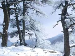 -安吉龙王山风景区