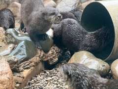 -昆明动物园