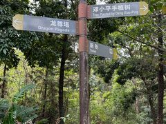 -深圳仙湖植物园