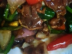 -鸽王世家(东华东路店)