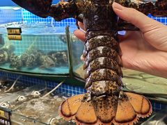 -望海潮海鲜店 特色家常菜(在海一方店)