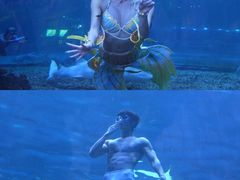 -华夏文旅海洋公园