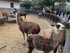 -苏州上方山国家森林公园