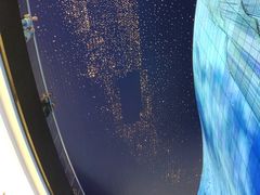 -迪拜水族馆及水下动物园