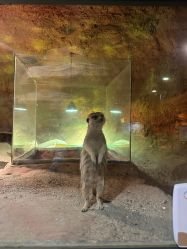 -酷嗒动物文化乐园(cutezoo西溪乐天城店)