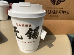 -喜马拉雅森HIMALAYAN FOREST