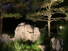 -莲花池公园
