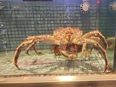 -东方御宴海鲜酒楼(棕泉酒店)