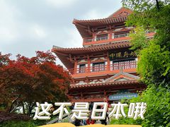 -红山森林动物园