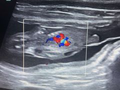 -瑞派·关忠动物医院·猫专科·犬专科(三环新城店)