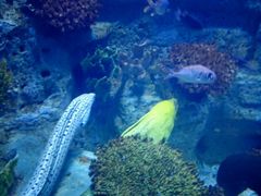 -左海海底世界