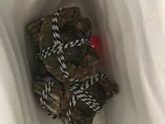 -喜洋洋蟹庄(阳澄湖店)