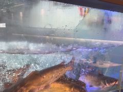 -鱼酷活鱼烤鱼(南京水游城店)