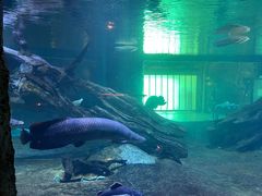 -华夏文旅海洋公园