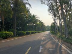 -福建鲤鱼洲酒店