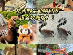 -杭州野生动物世界