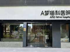 -御宝贝·A梦猫科宠物医院(国际猫友好医院)