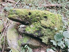 -五龙洞国家森林公园