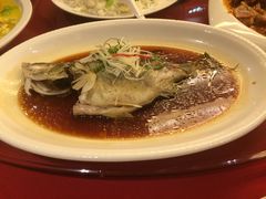 -扬子岛酒店(重庆洪崖洞解放碑店)