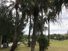 -鹅銮鼻公园