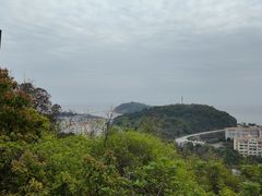 -平湖九龙山旅游度假区