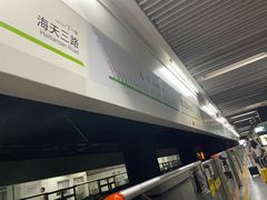 -浦东1号2号航站楼(地铁站)